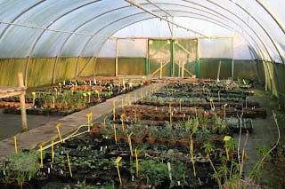 The longest night and the real new year.