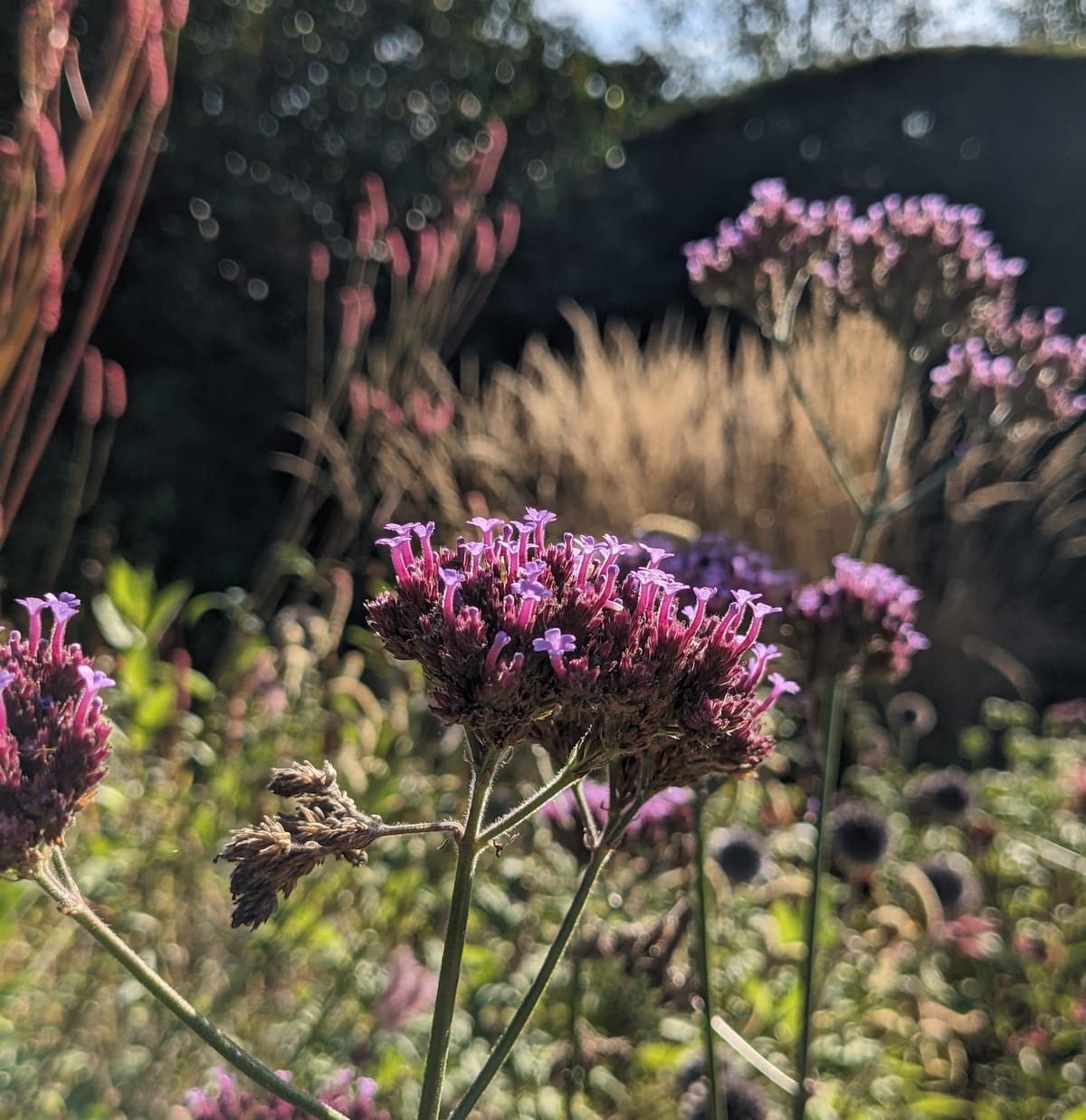 Subtle, shimmering September