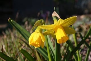 Real progress at last