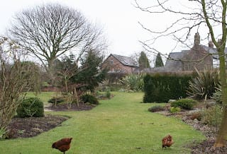 Potting, planting and mulling