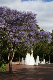 Starting the autumn clear up