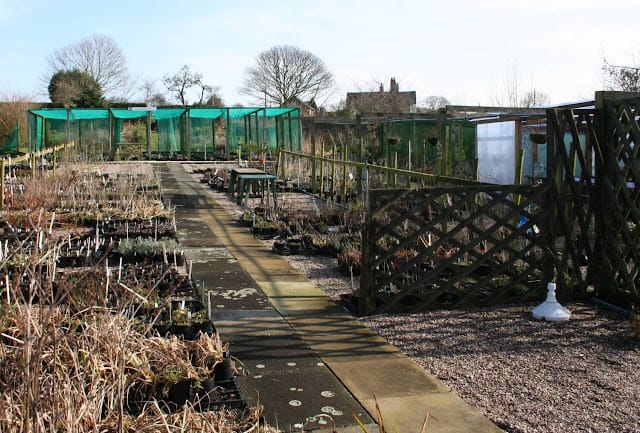 Bluebell Cottage, five years on. Part One...