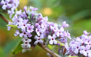 On not being here...