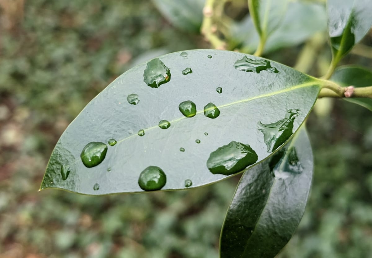 Made of stardust, powered by sunshine