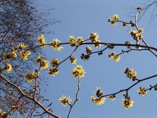 Sunday January 01, 2006