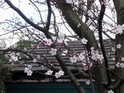 Monday February 14, 2005