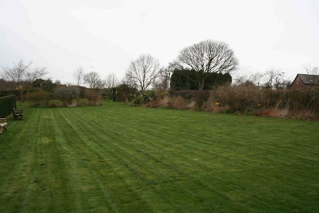 Bluebell Cottage - the first five years - Part Two