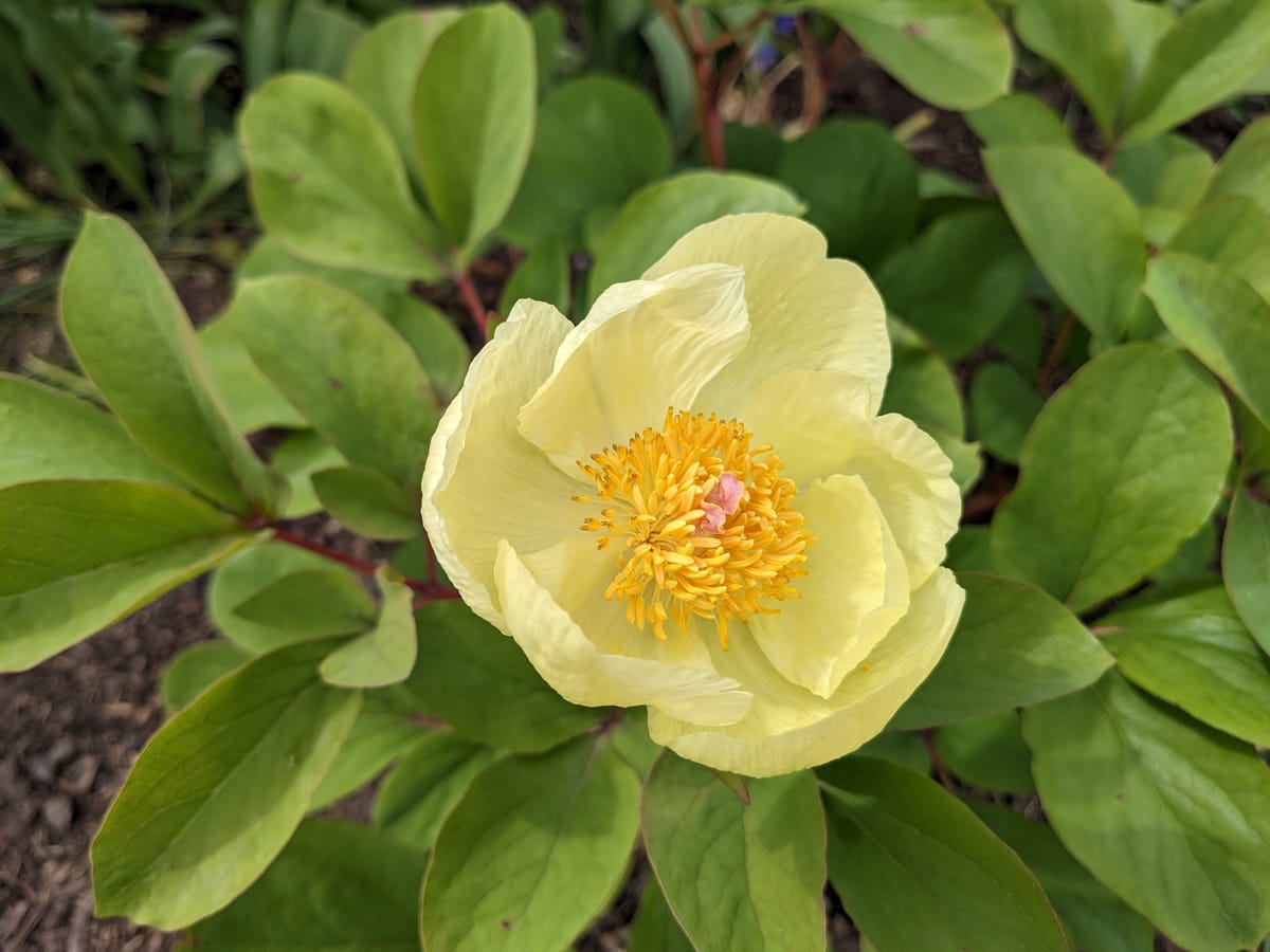 Everything, everywhere, all at once.