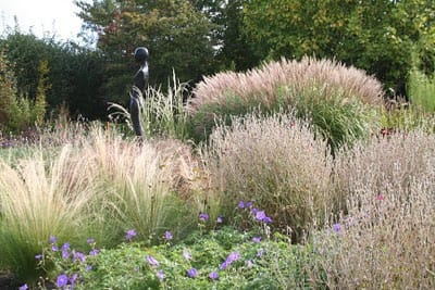 Soft, soporific September