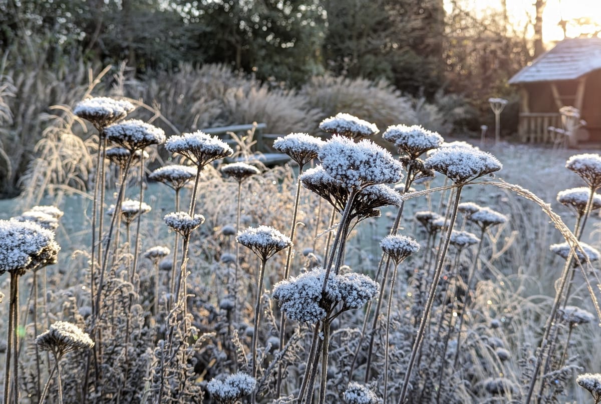 Writing: ink, tea and neckache.