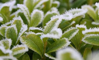 Plenty to say, but little to show you.