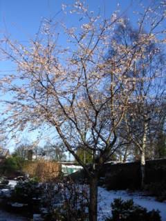 Monday January 03, 2005