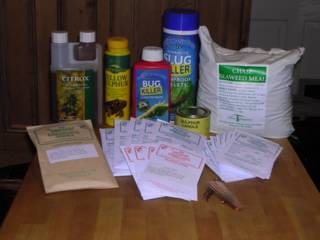 Friday January 21, 2005