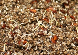 Life in the fridge...