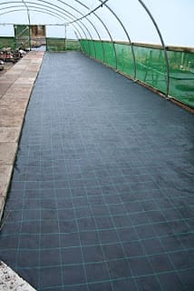 On embracing mediocrity...