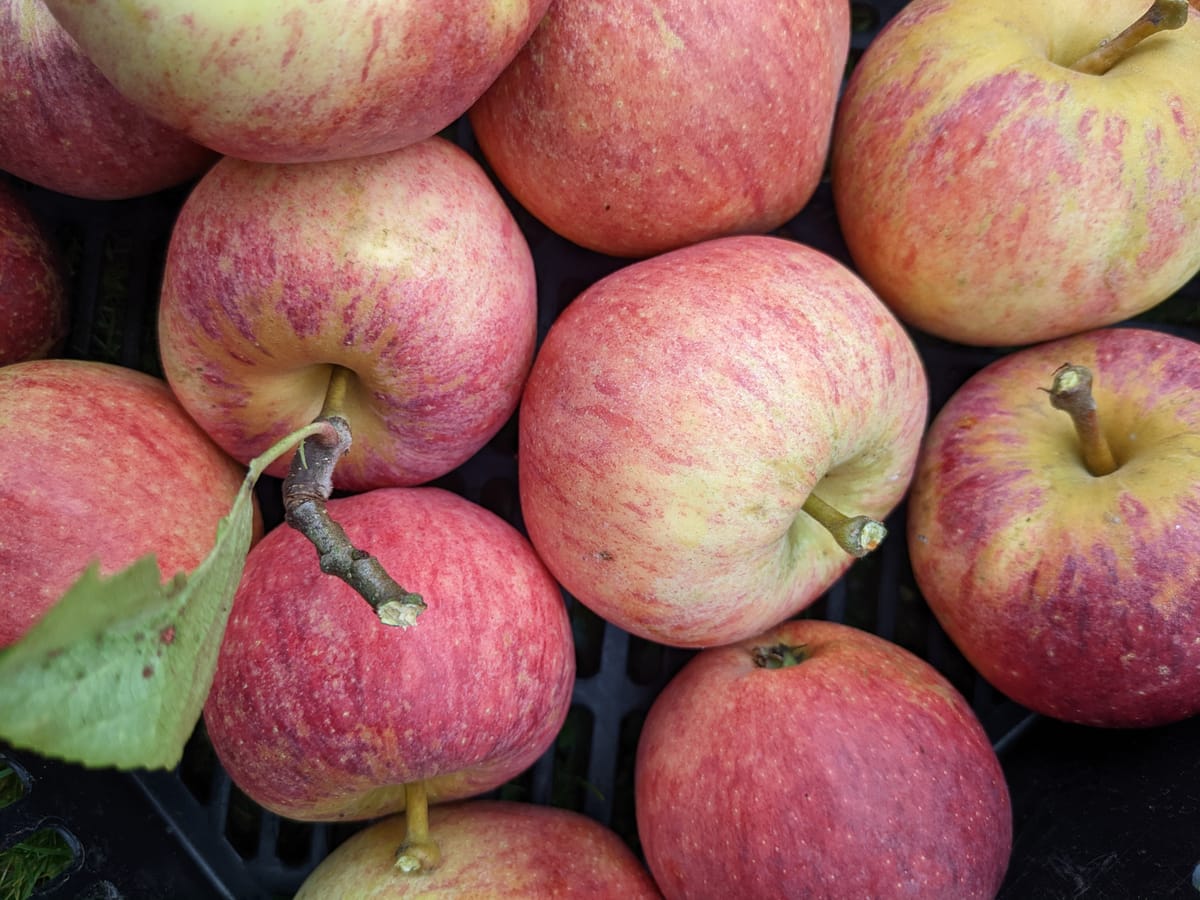 Behind closed doors...