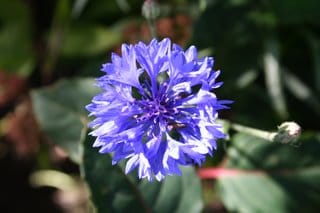 Another record, but not for long...