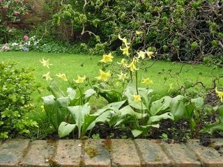 Thursday April 21, 2005