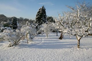 Snow-bound, but not stir-crazy yet...