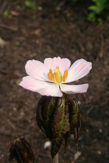 A day out at Malvern!