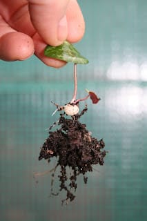 Little moments of joy