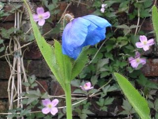 Wednesday May 18, 2005