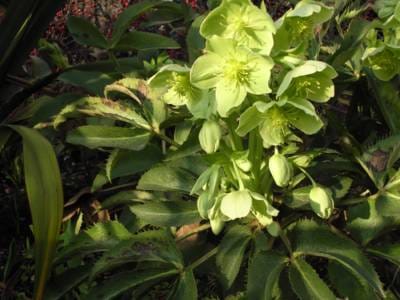 Sunday February 13, 2005