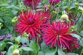 The longest night - and a tribute to Christopher Lloyd