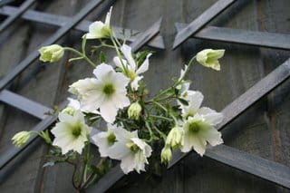 My weather station is better than the BBC