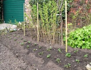 Tuesday March 29, 2005