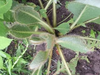 Sunday July 24, 2005