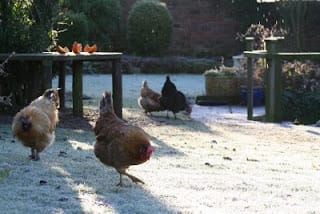 On the zeitgeist? Moi?