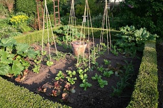 Back on the Box - 11th May with a bit of luck