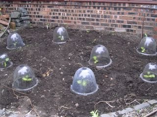 Monday June 13, 2005