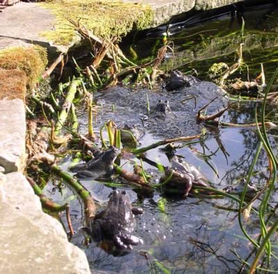 Friday March 18, 2005