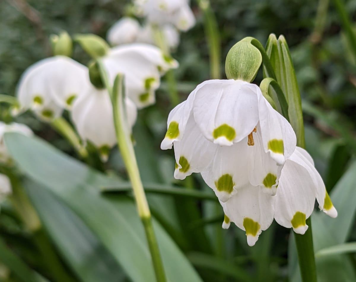 It's all white now...