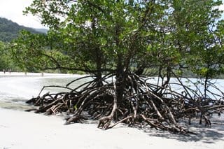 After the rain, icy fog.