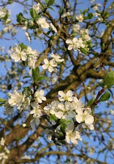 Spring is most definitely sprung.