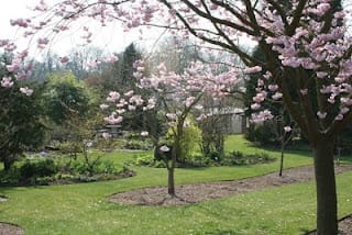 Cakemakers for charity?....