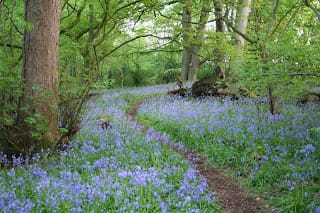 The difference a week makes.