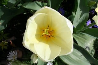 The first almost properly warm day