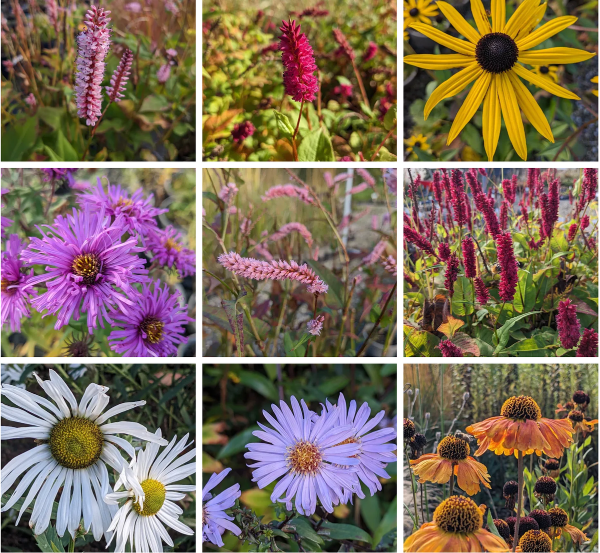 Sweet, gentle October.