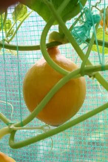 From parasols and shorts to umbrellas and fleeces