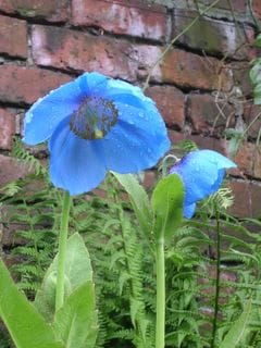 Saturday May 21, 2005