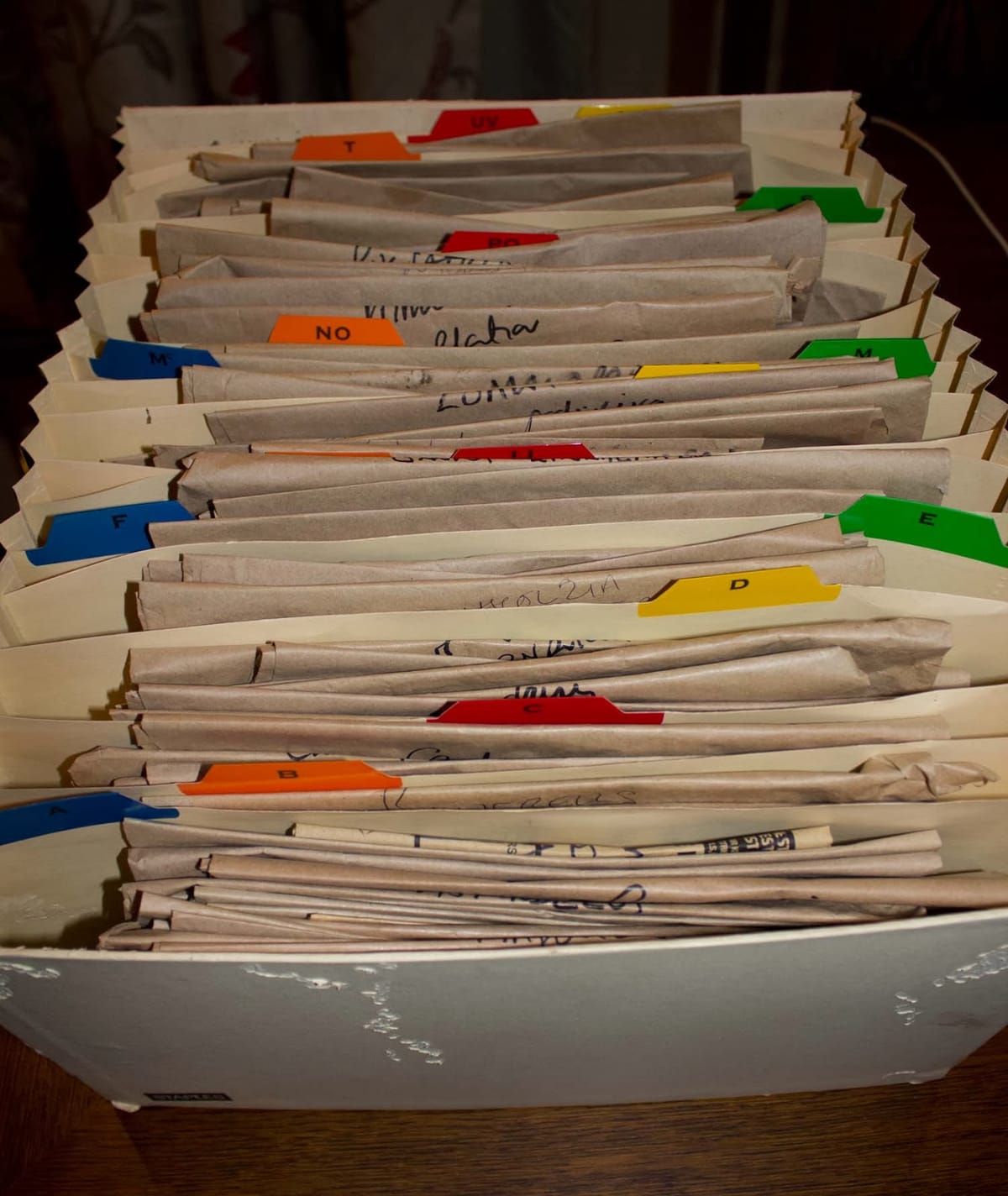 Seeds collected in the garden in 2013