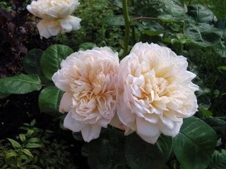 Saturday June 18, 2005