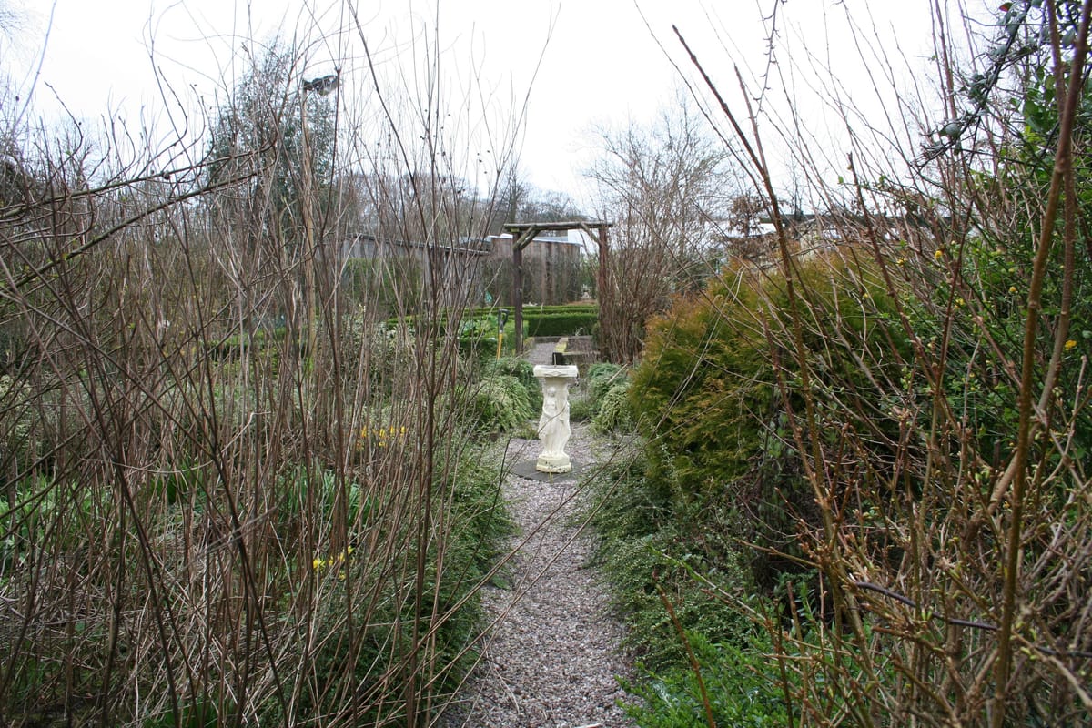 Happy birthday, Bluebell.