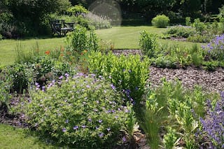 Sunshine, scent and first seeds