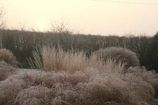 The world from my sofa - Day 1