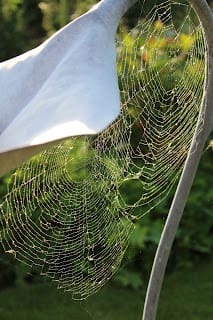 Happy New Gardening Year